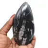 Fossile di orthoceras lucidato - 0