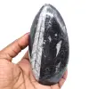 Fossile di orthoceras dal marocco - 0