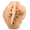 Rosa di sabbia naturale grezza - 3
