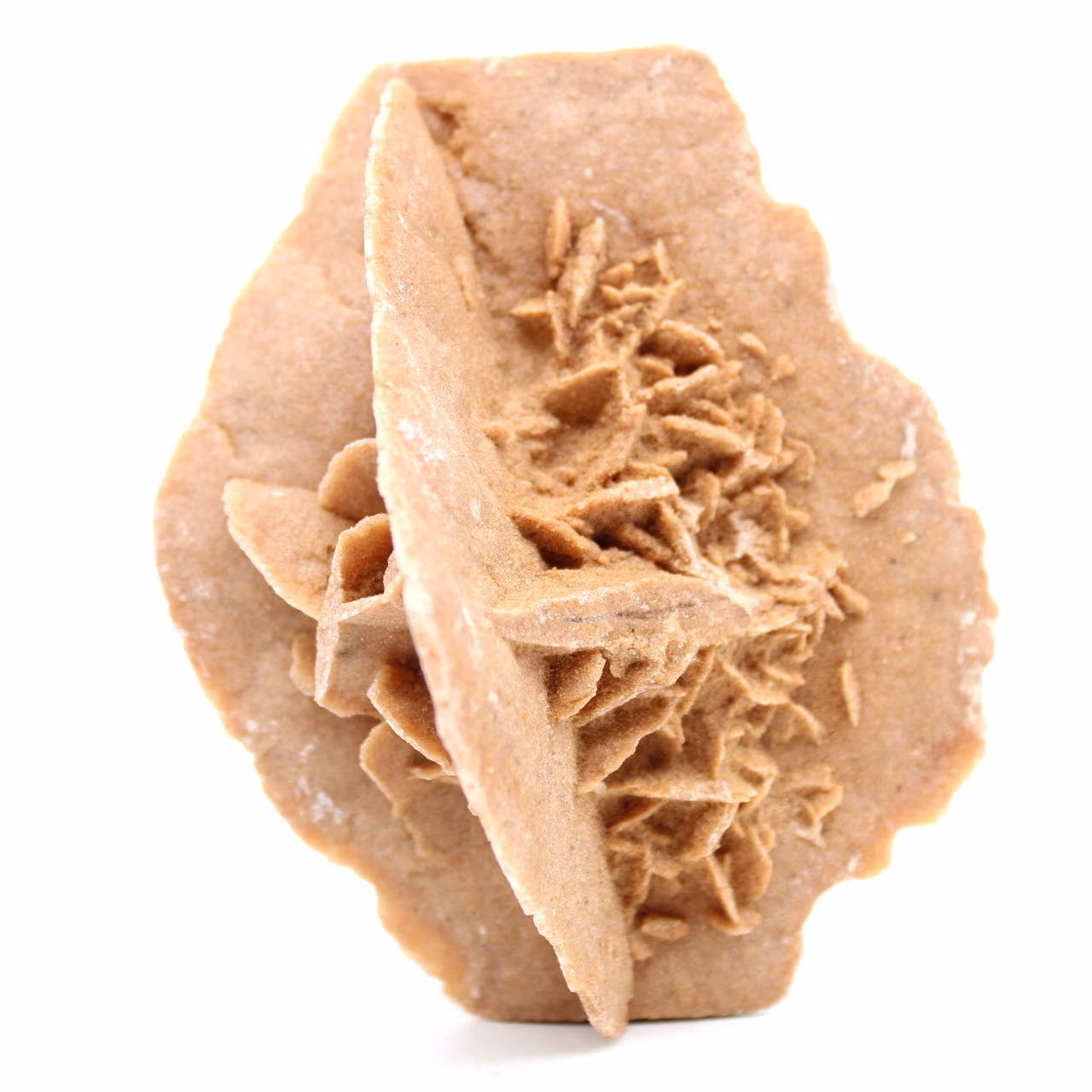 Rosa di sabbia naturale grezza