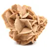 Rosa del deserto - 0
