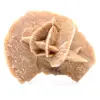 rosa di sabbia cruda - 0
