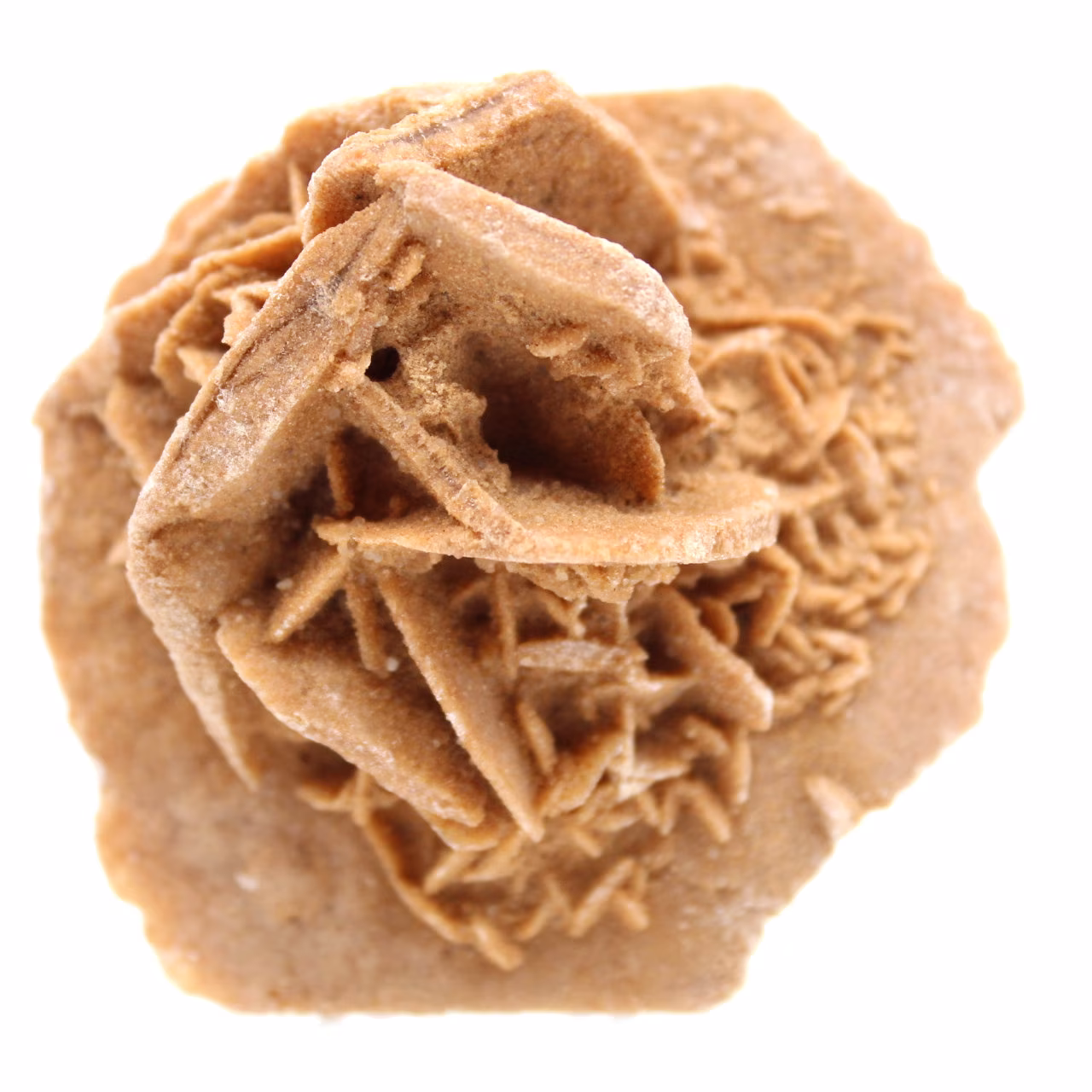 rosa di sabbia cruda