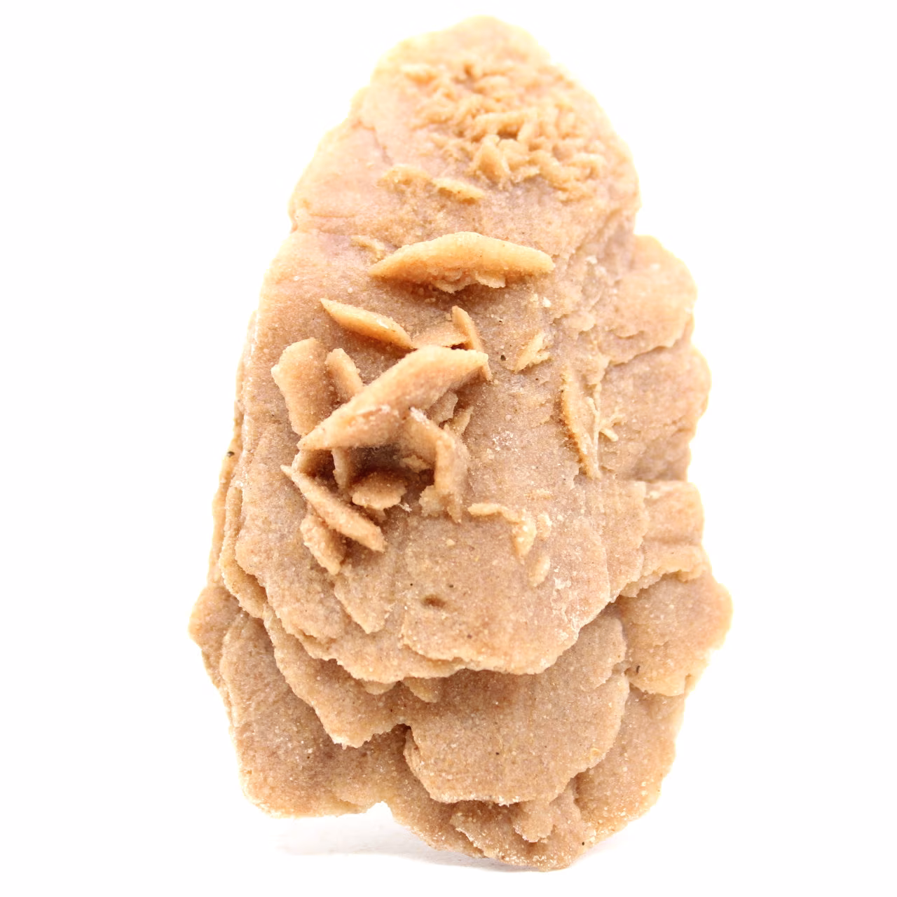 Rosa del deserto