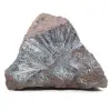 Pietra grezza di pirolusite - 0