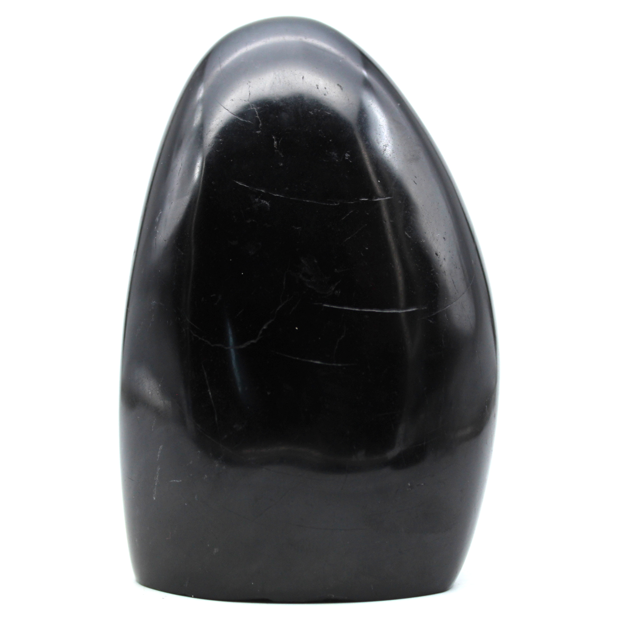 Roccia levigata con tormalina nera