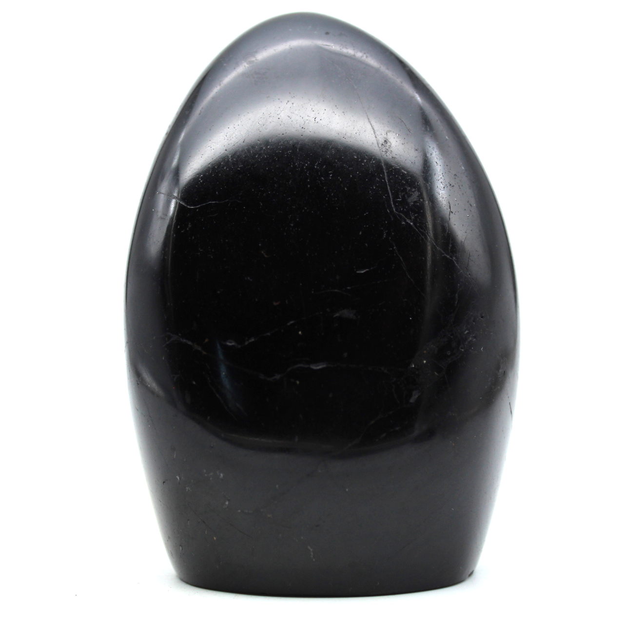 Roccia levigata con tormalina nera