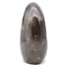 Roccia lucidata al quarzo fumè - 1