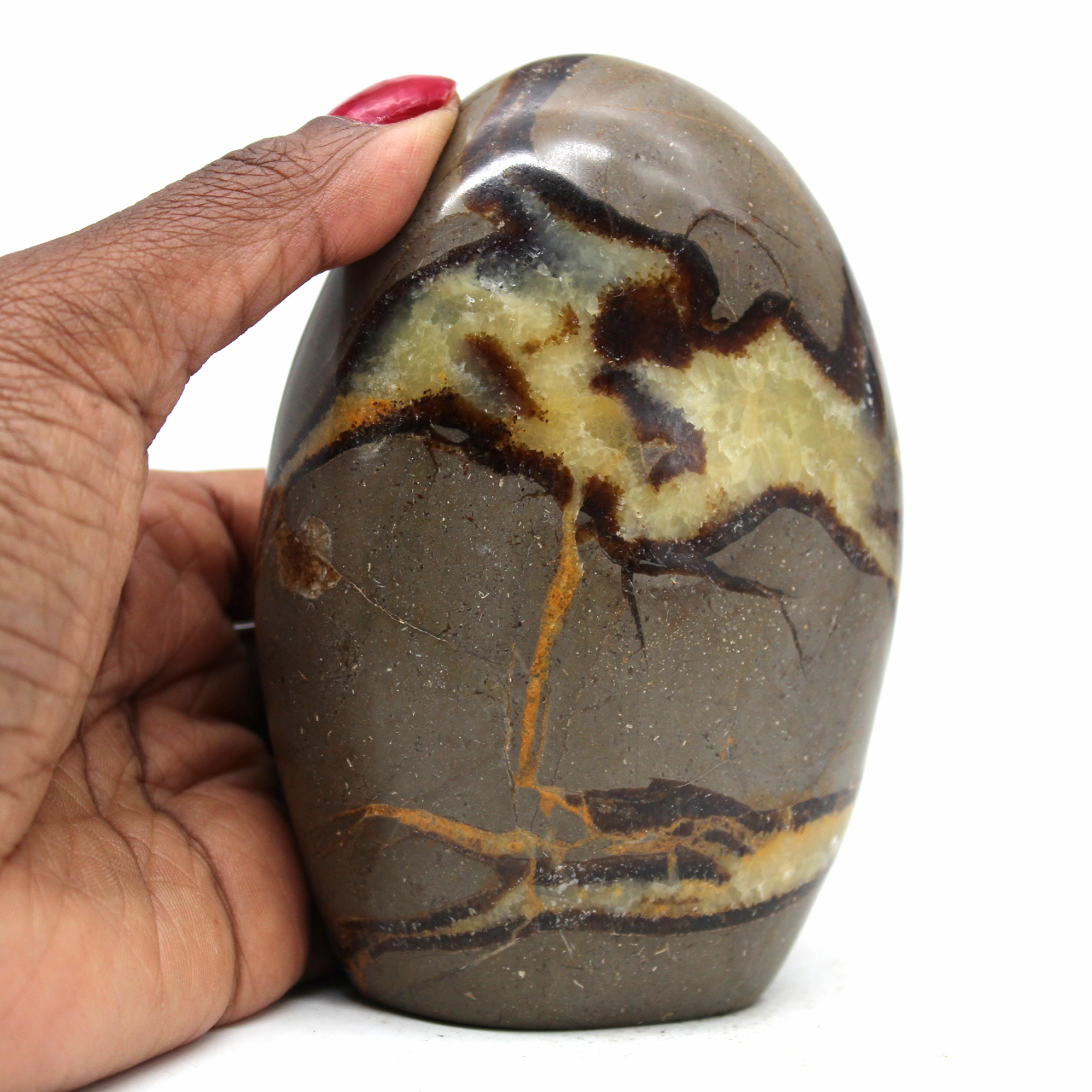 Roccia levigata a septaria