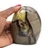 Septaria ornamentale naturale - 0