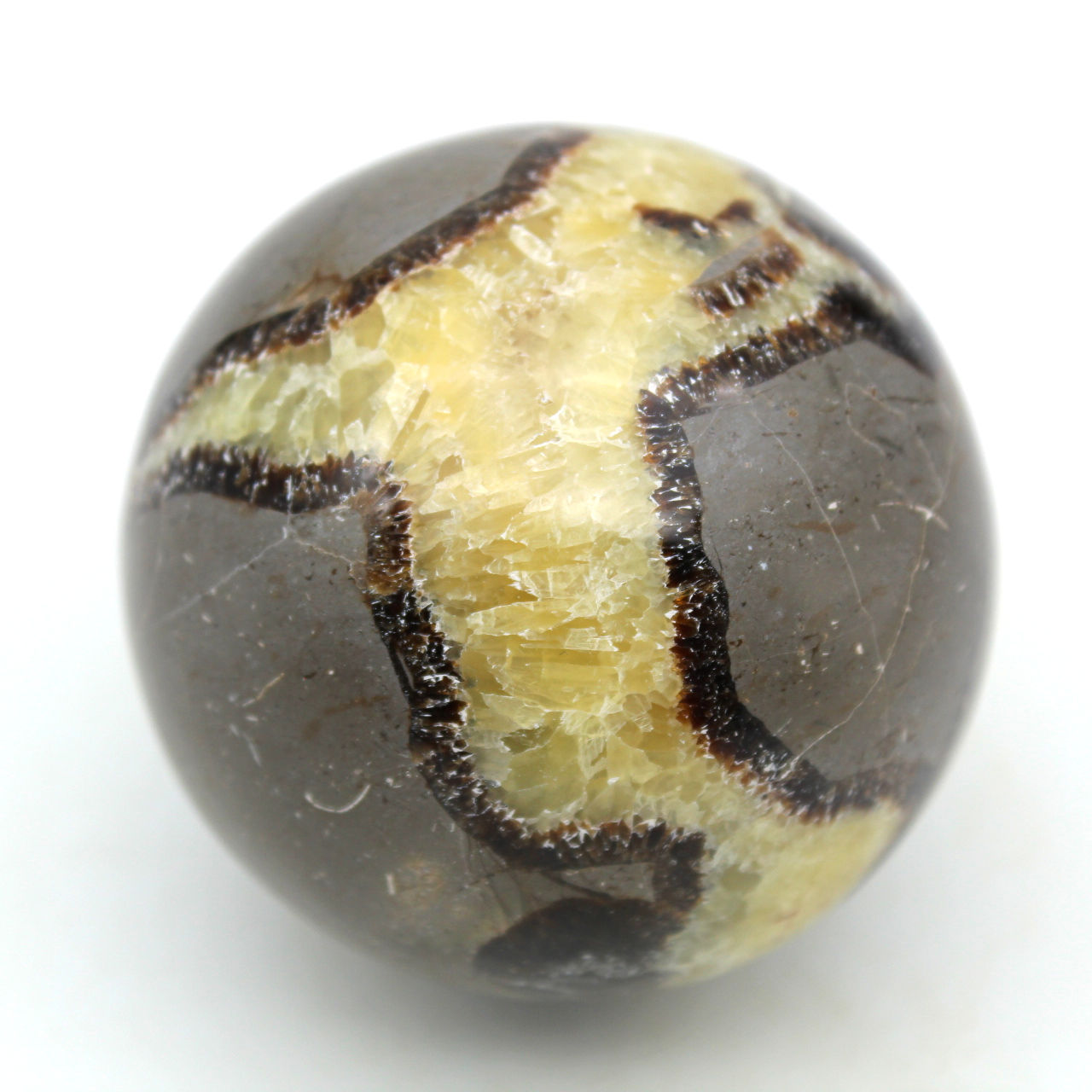 Sfera in septaria
