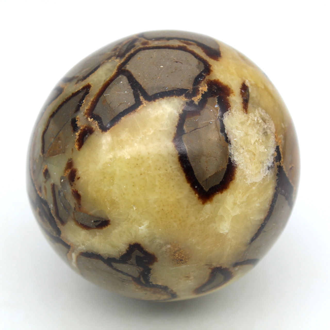 Sfera in septaria