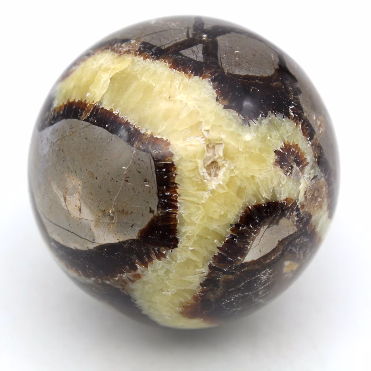 Sfera in septaria