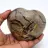 Cuore in septaria