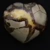 Cuore in septaria - 1