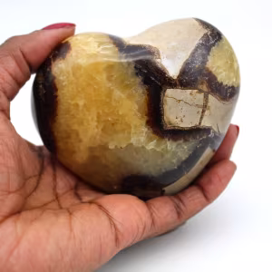 Cuore in septaria