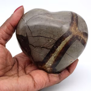 Cuore in septaria