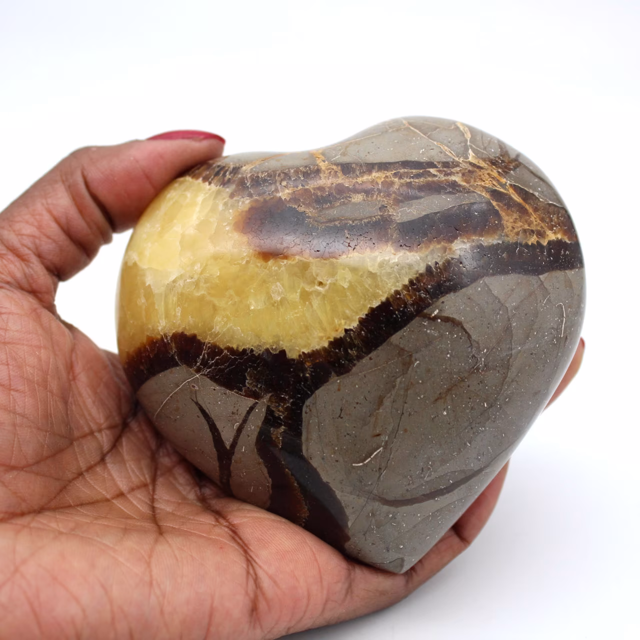 Cuore in septaria