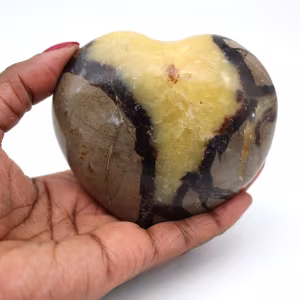 Cuore in septaria