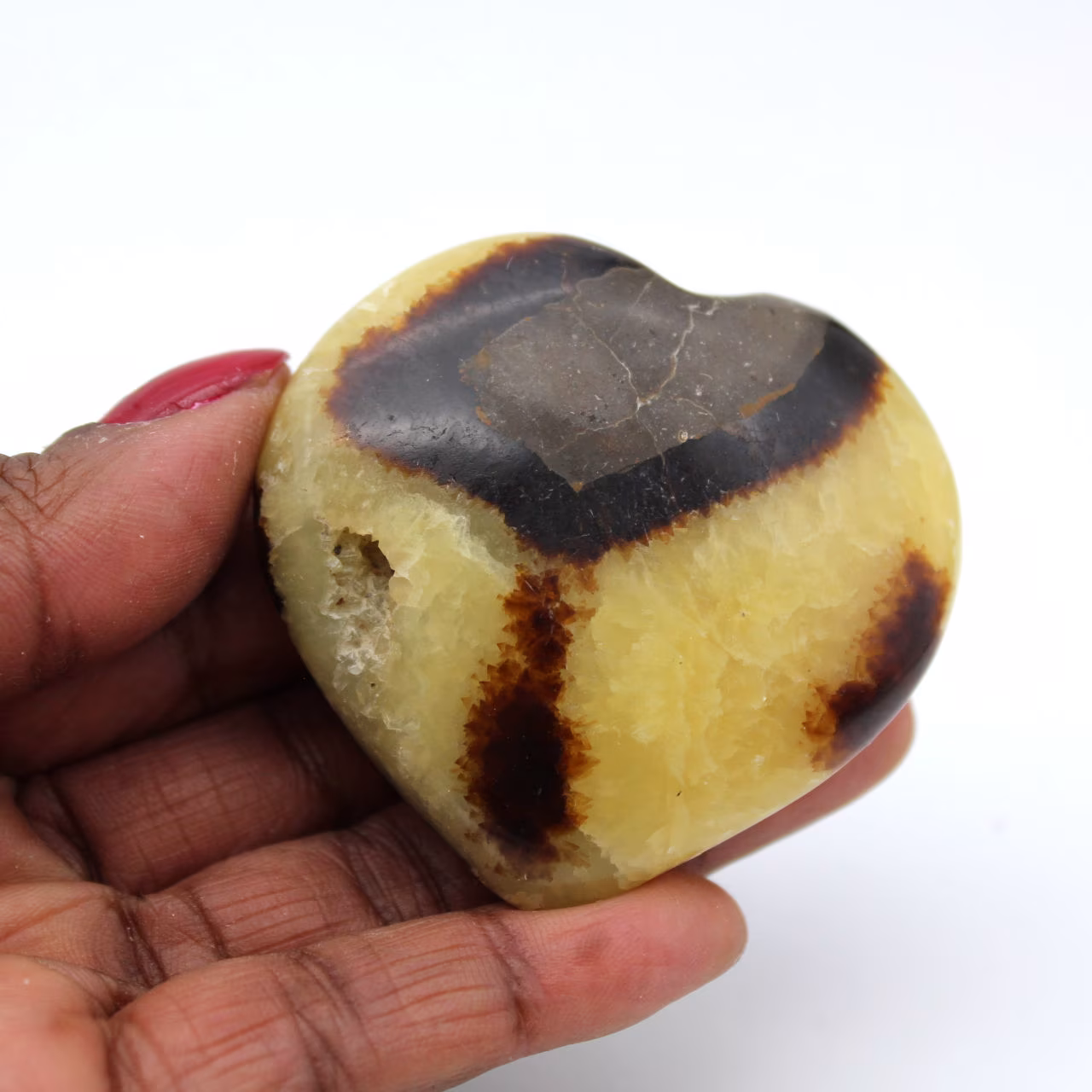 Cuore in septaria