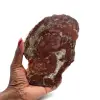 Fetta di legno silicizzato del madagascar - 0