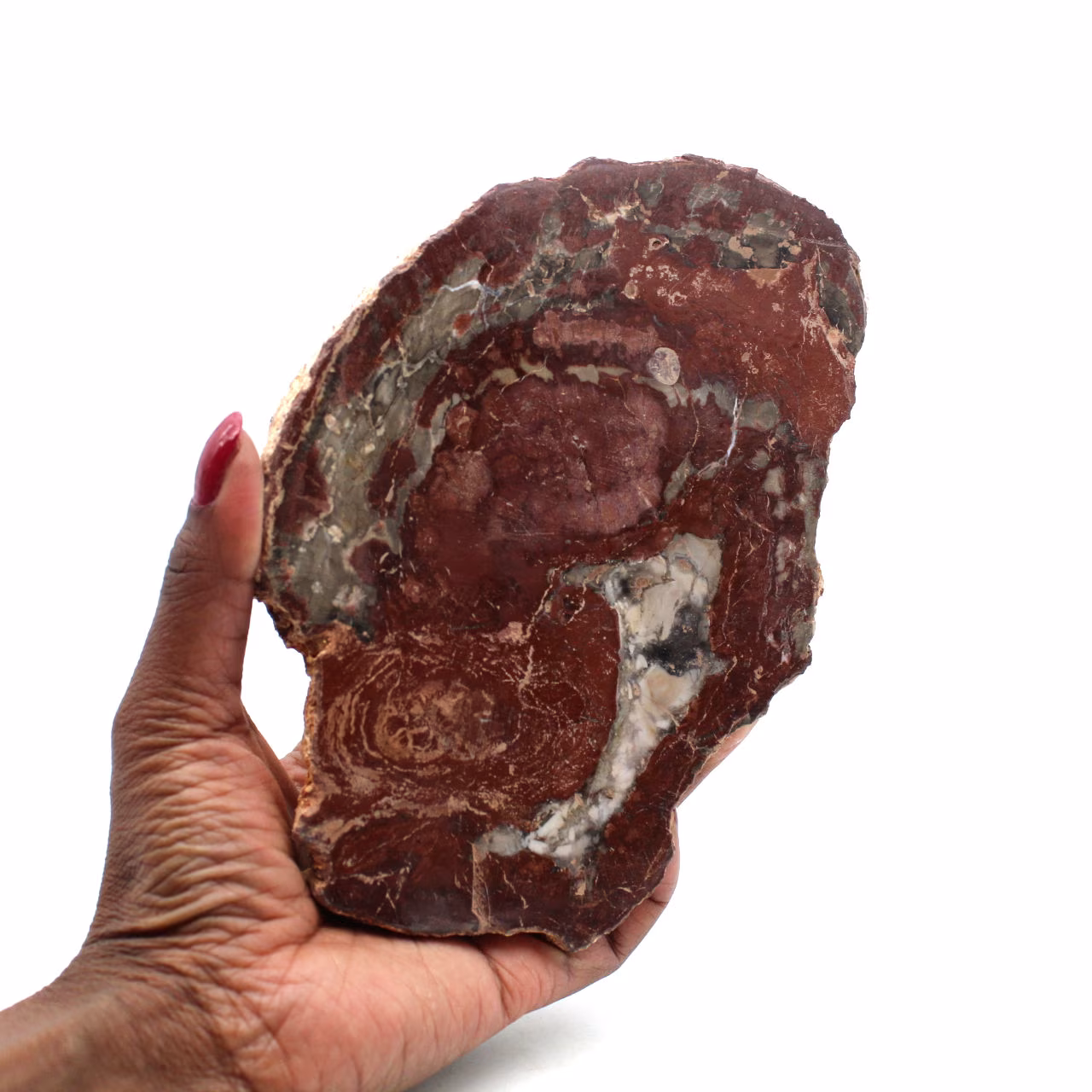 Fetta di legno silicizzato del madagascar