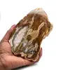 Legno silicizzato lucidato naturale - 0