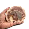 Fetta di legno silicizzato del madagascar - 0