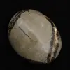 Ciottoli di septaria - 2