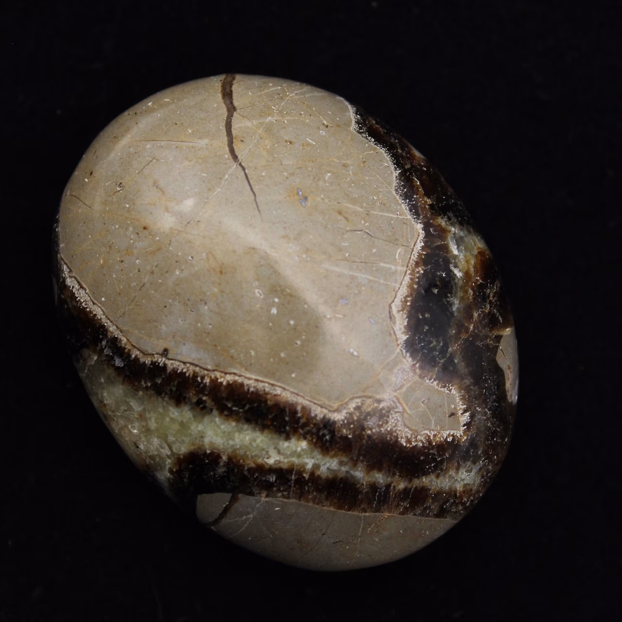 Ciottoli di septaria