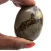 Ciottoli di septaria - 1