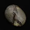 Ciottoli di septaria - 2