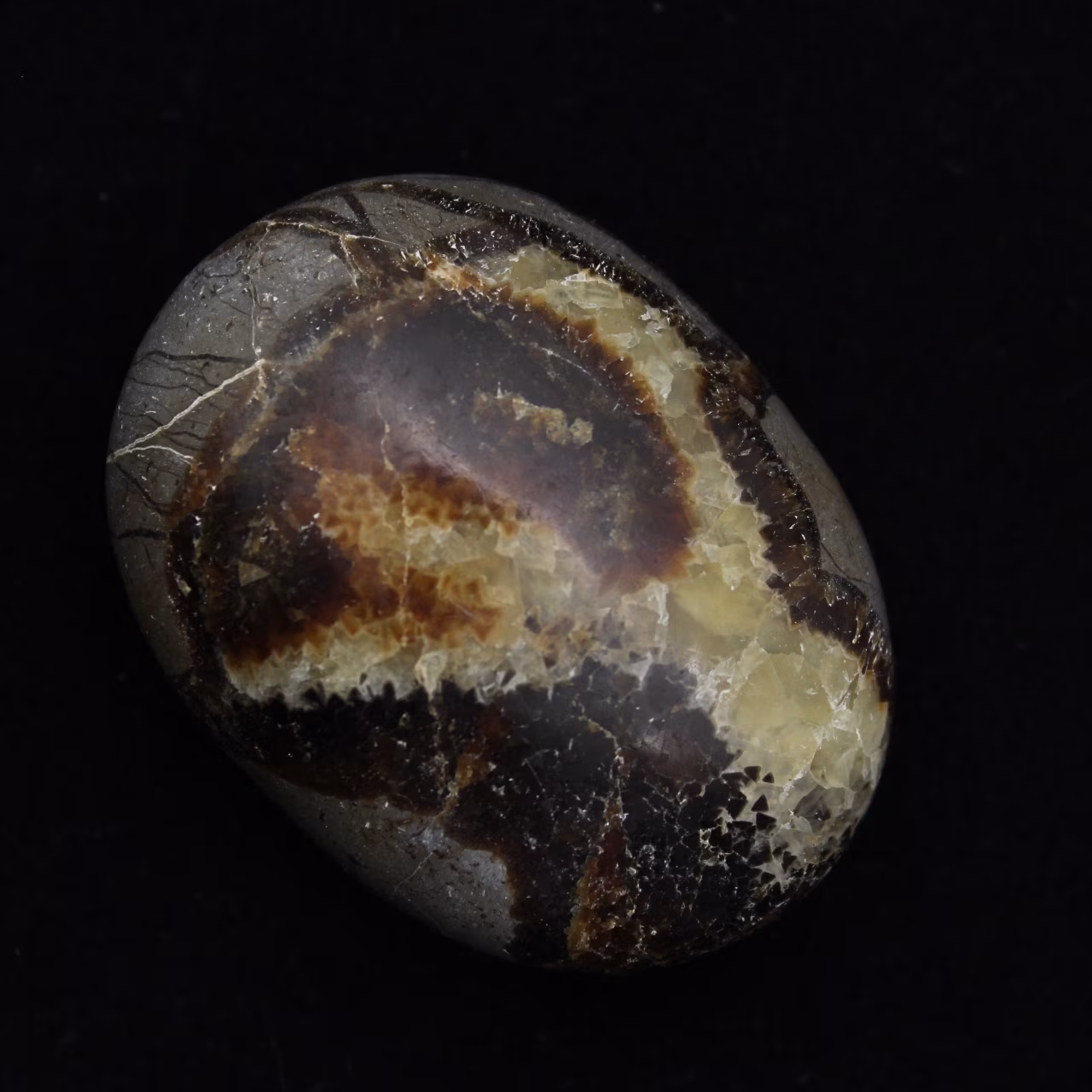 Ciottoli di septaria