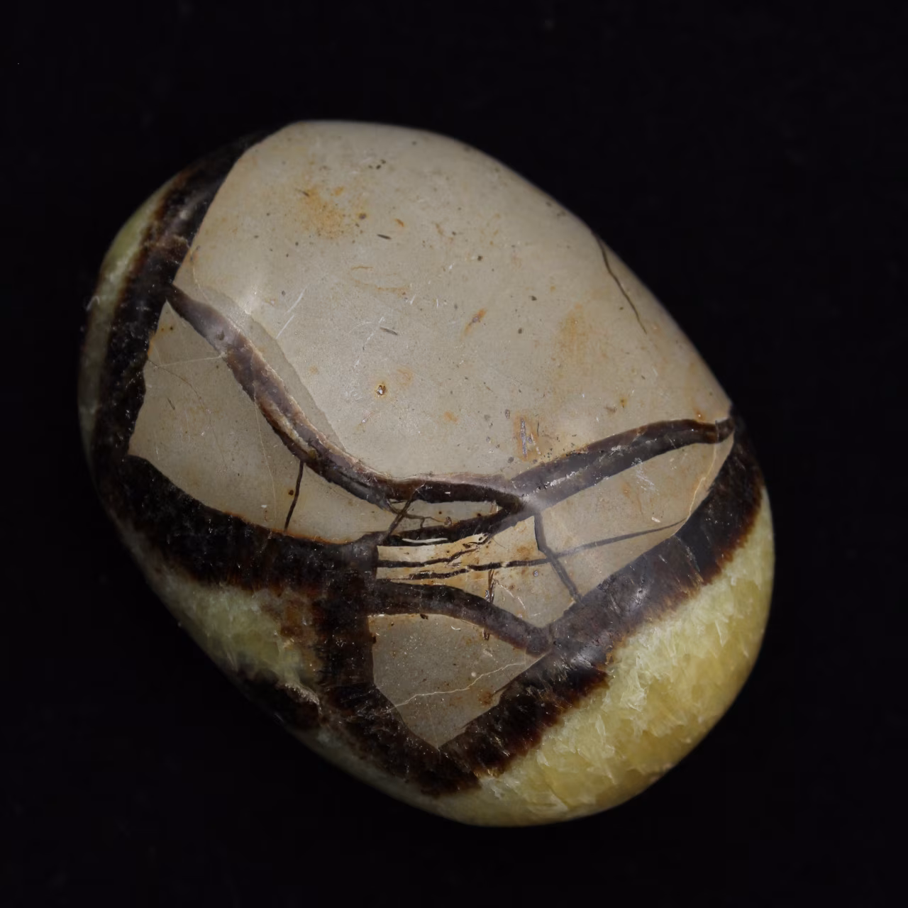 Ciottoli di septaria