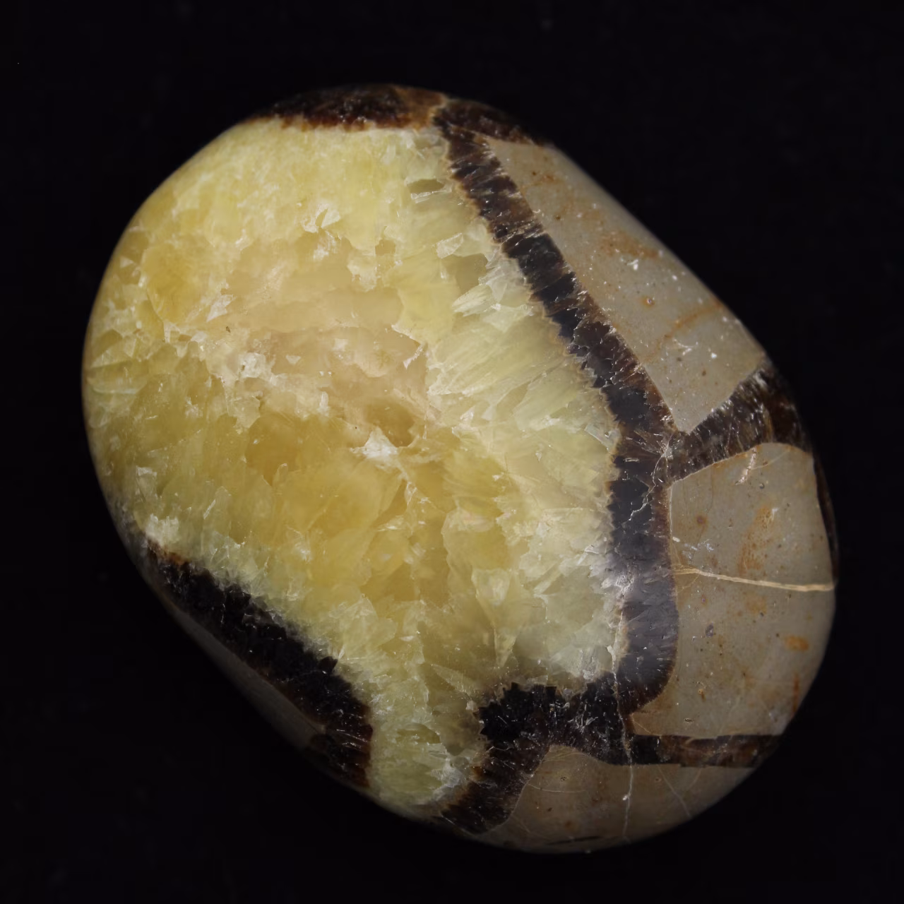 Ciottoli di septaria