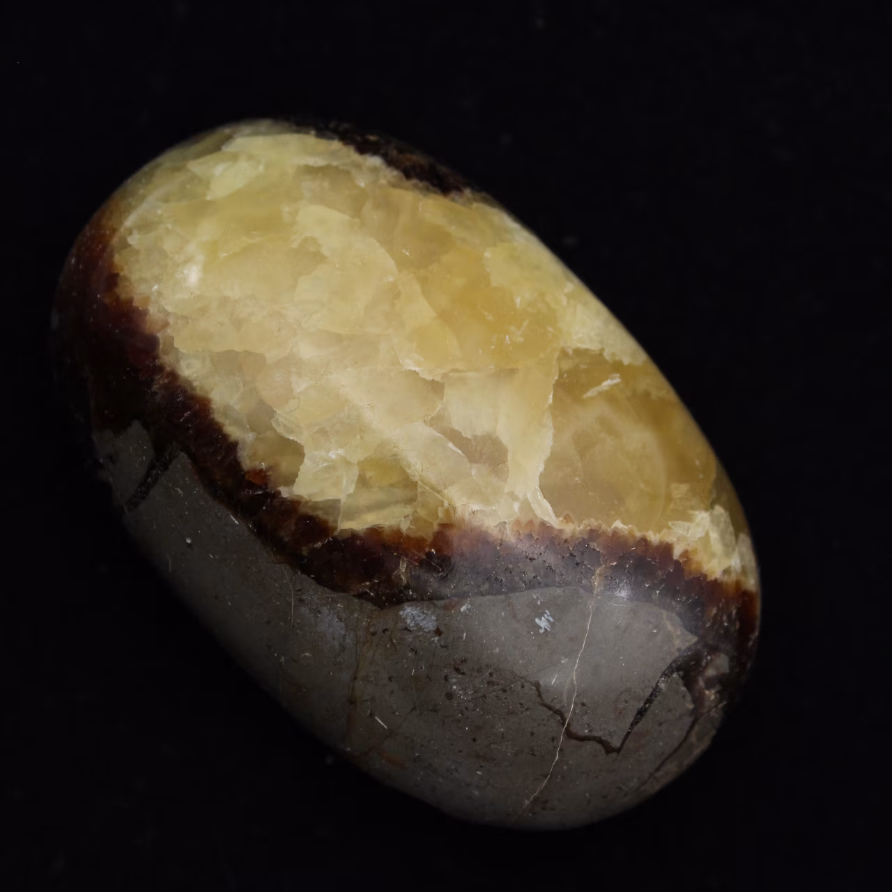 Ciottoli di septaria