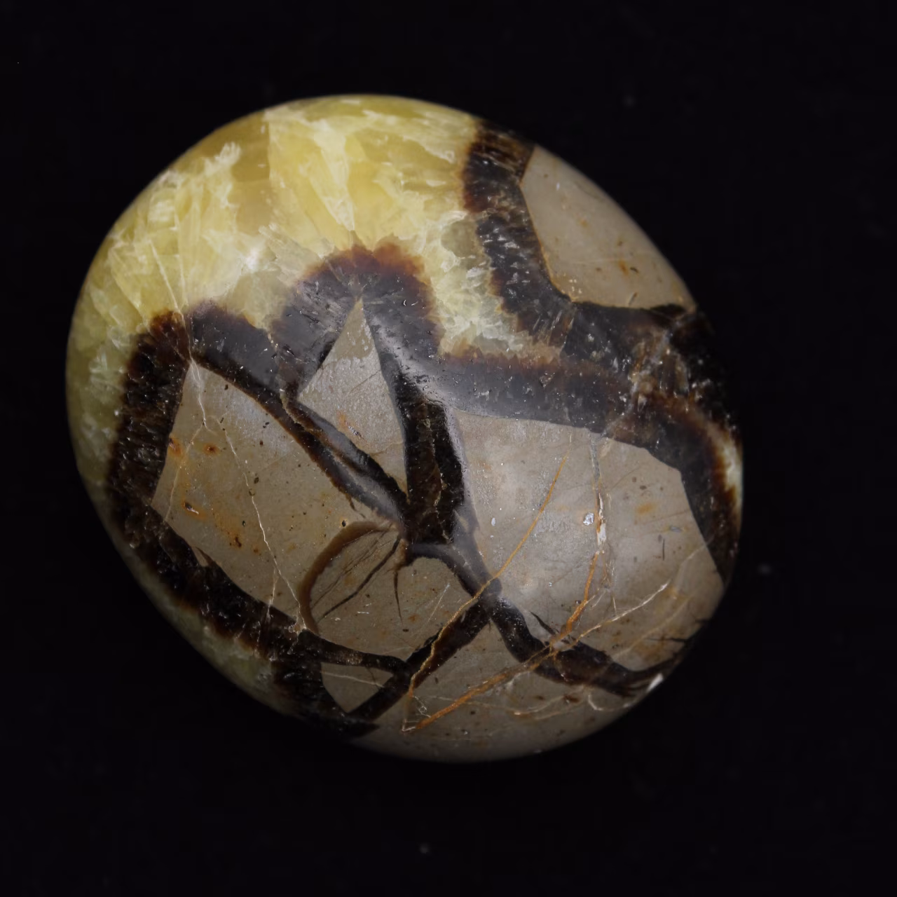 Ciottoli di septaria