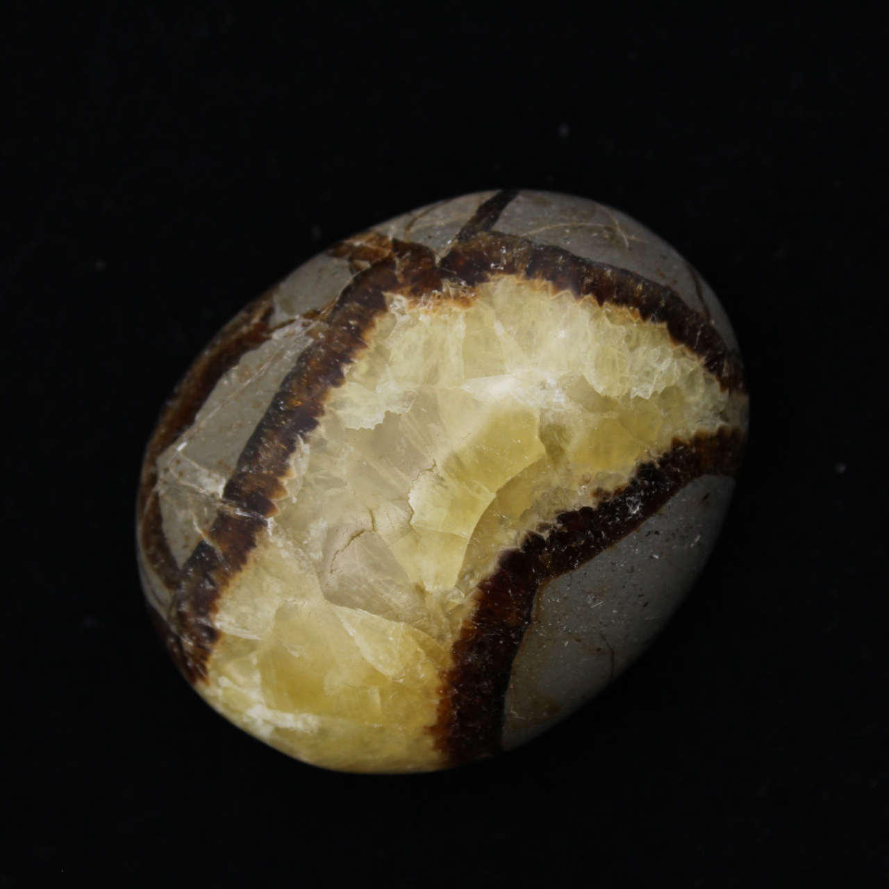Ciottoli di septaria