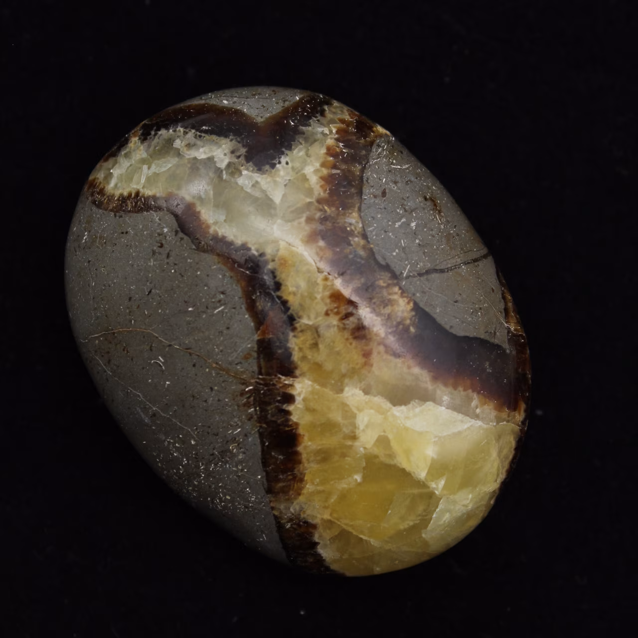 Ciottoli di septaria