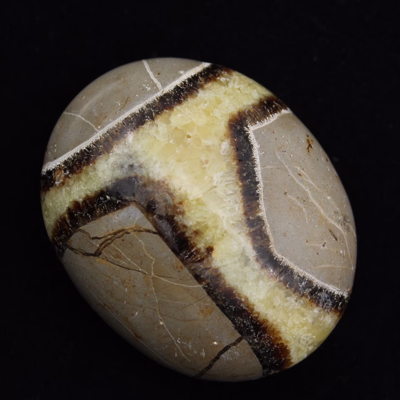 Ciottoli di septaria