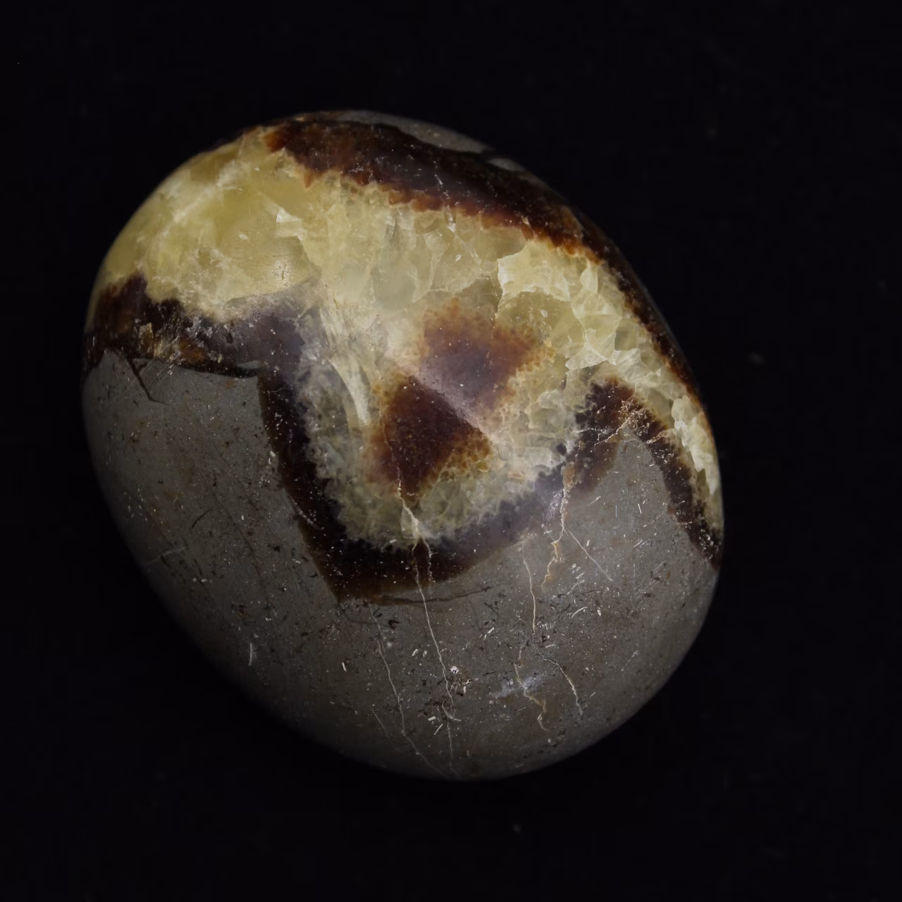 Ciottoli di septaria