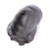 Hématite