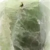 Eptaedro di fluorite verde - 8