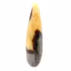 Septaria baton de massage