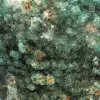 Fluorite cubica cristallizzata - 6