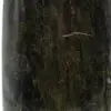 Diopside del madagascar - 6