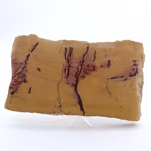 Lastra mokaite lucida