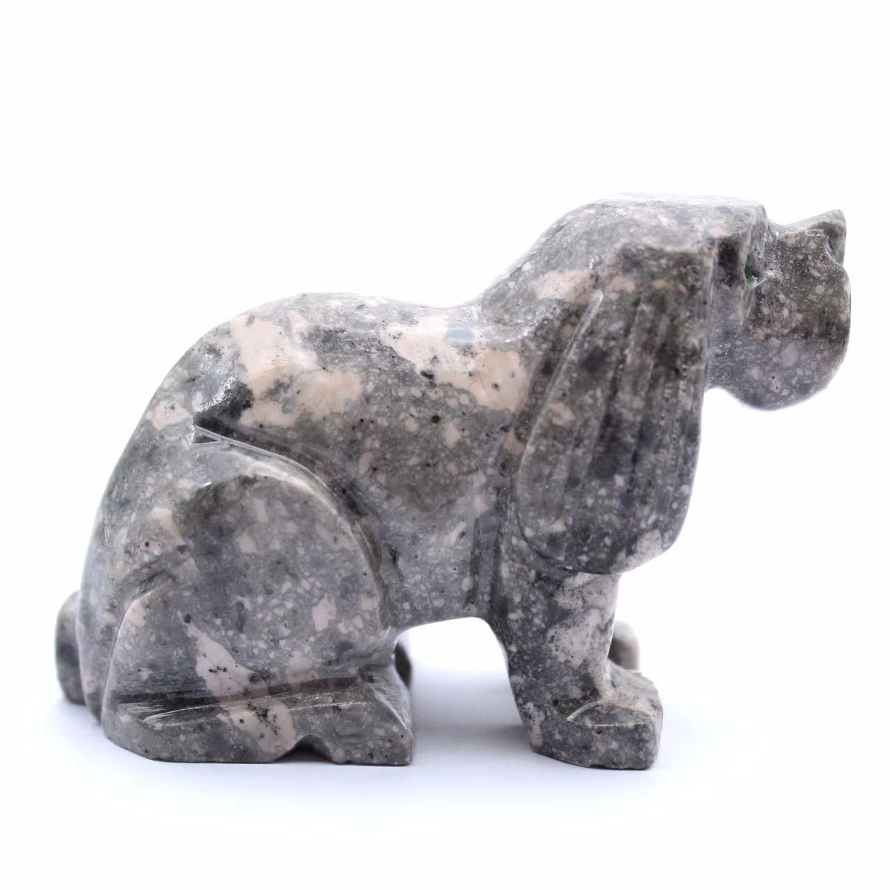 cane di pietra ollare