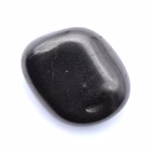Ciottolo di shungite
