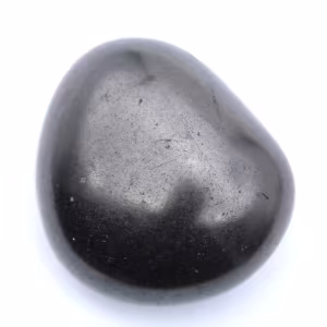 Pietra levigata di shungite
